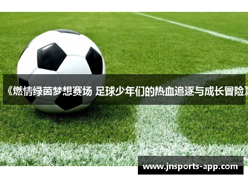 《燃情绿茵梦想赛场 足球少年们的热血追逐与成长冒险》