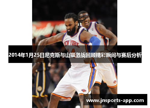 2014年1月25日尼克斯与山猫激战回顾精彩瞬间与赛后分析